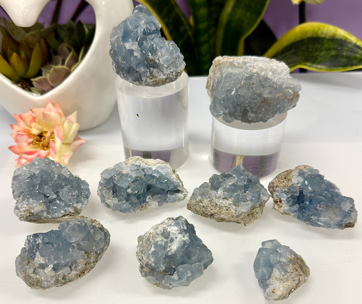 Wholesale Lot 2 Lbs Natural Celesitite Cluster Crystal