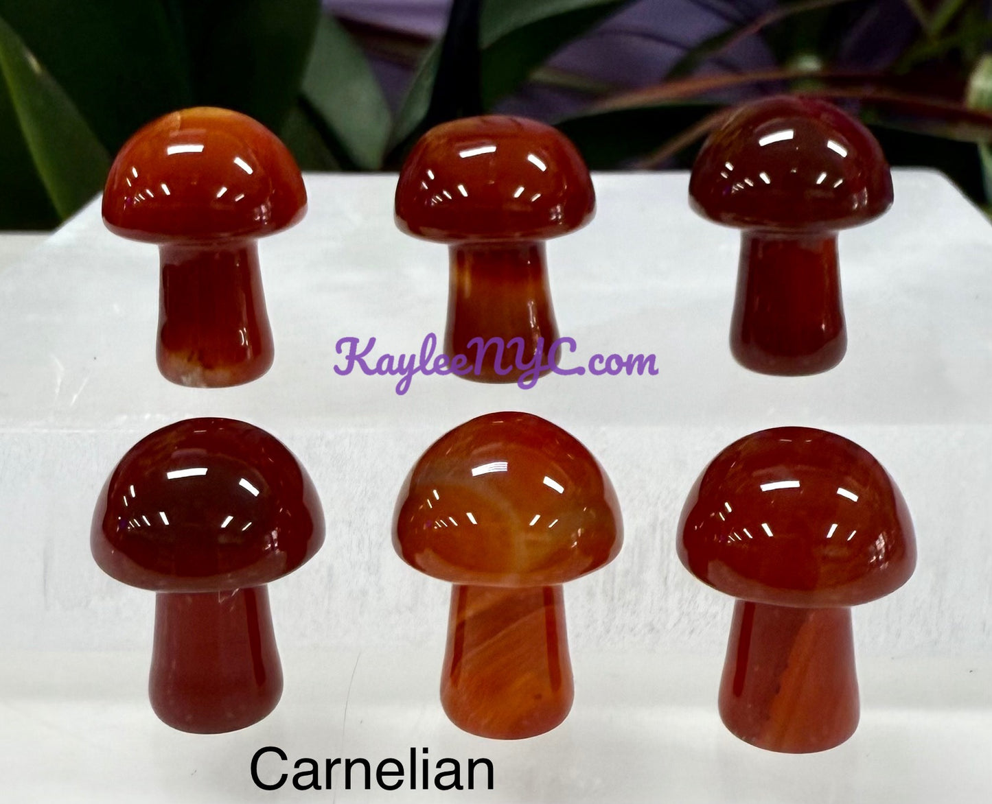 Wholesale Lot 50 PCs Mixed Crystal Mushroom 19mm Healing Energy