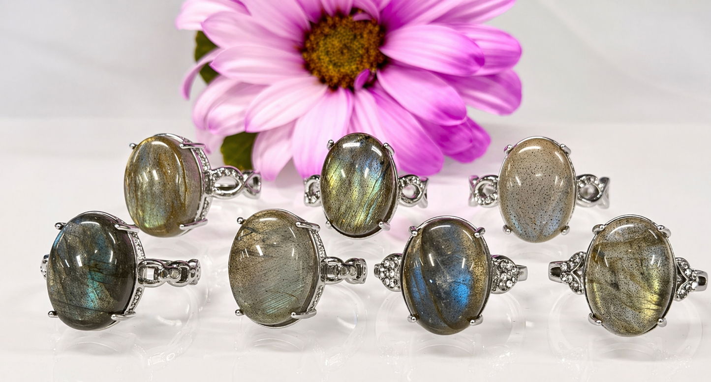 Wholesale Lot 7 pcs Natural Labradorite Stainless Steel Ring 12x16mm