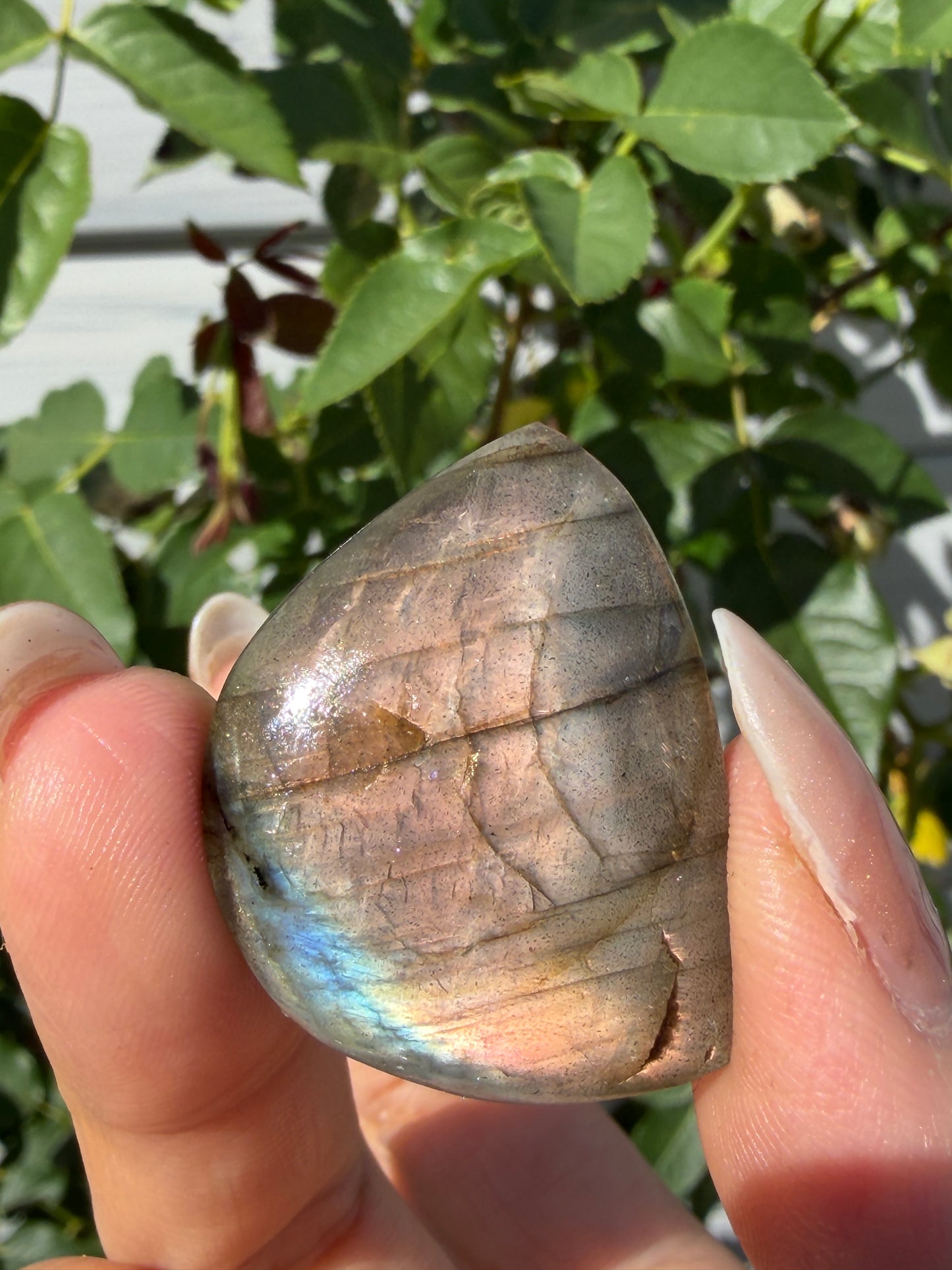 Wholesale Lot 12 pcs Natural Sunset Labradorite Cabochon Crystal Healing Energy