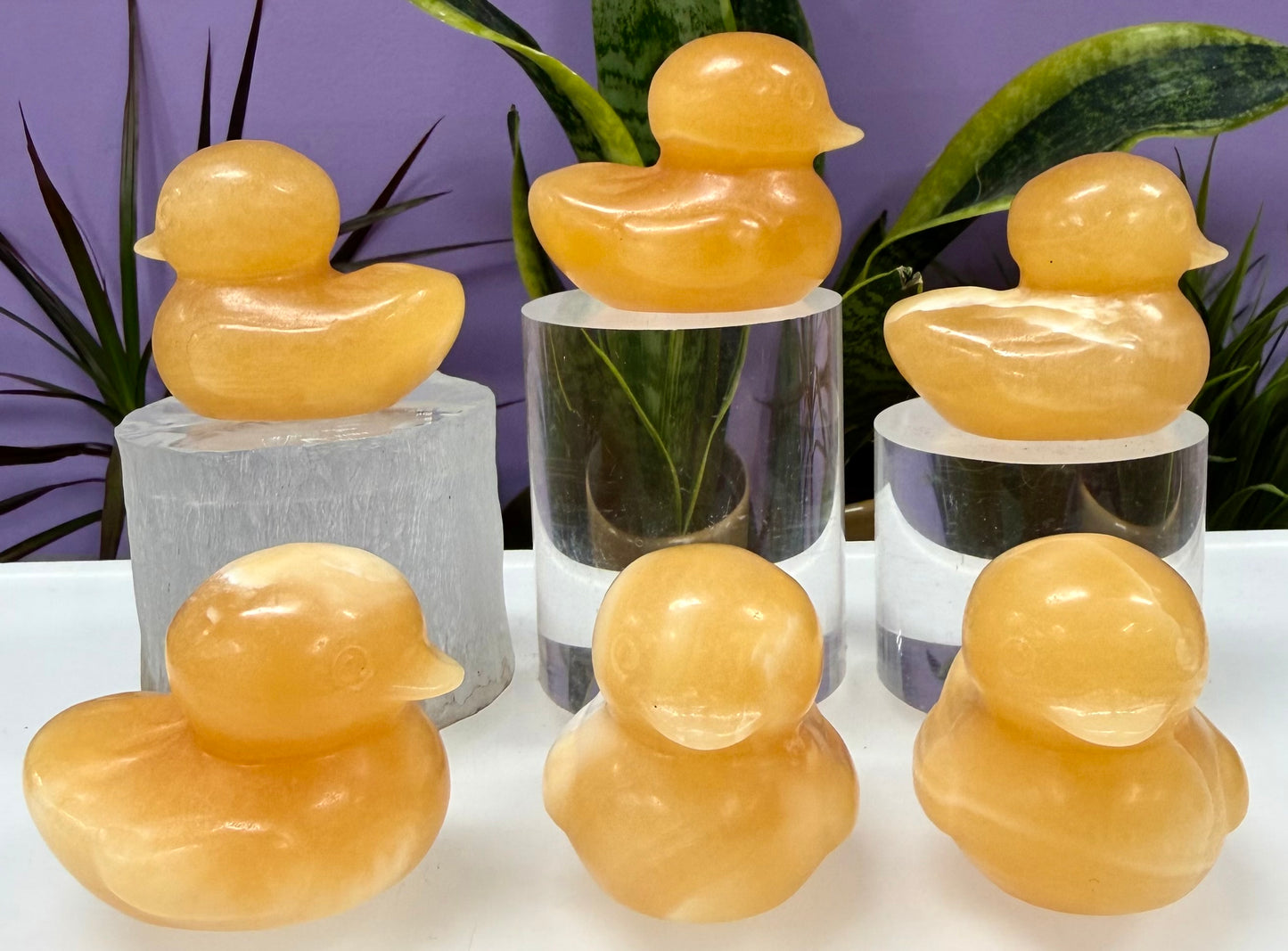 8 PCs 5cm Natural Orange Calcite Duck Crystal Healing Energy