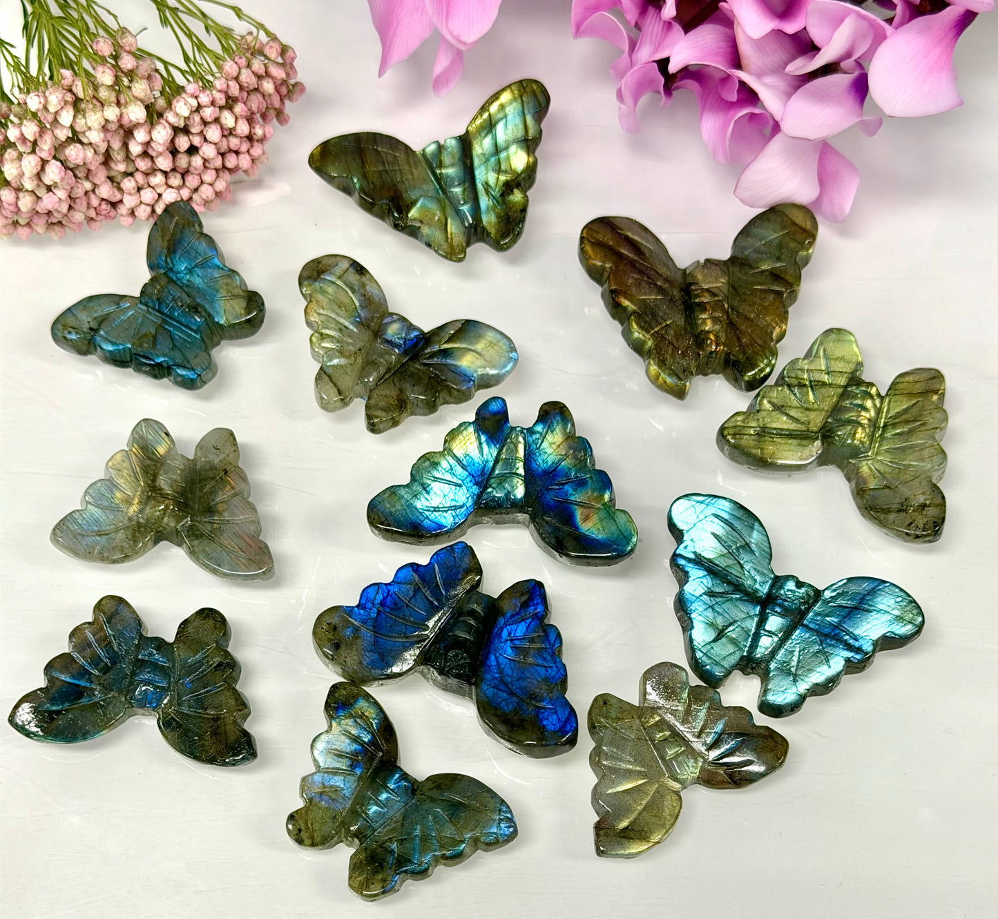 12 PCs Labradorite Butterfly Carving Natural Crystal Healing Energy