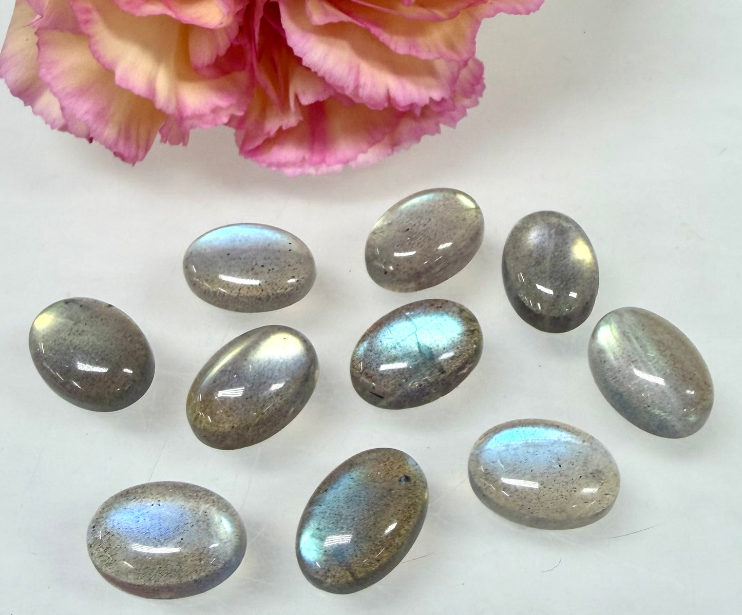 Wholesale Lot 10 pcs Natural Labradorite Cabochon Crystal Healing Energy ~10x14mm