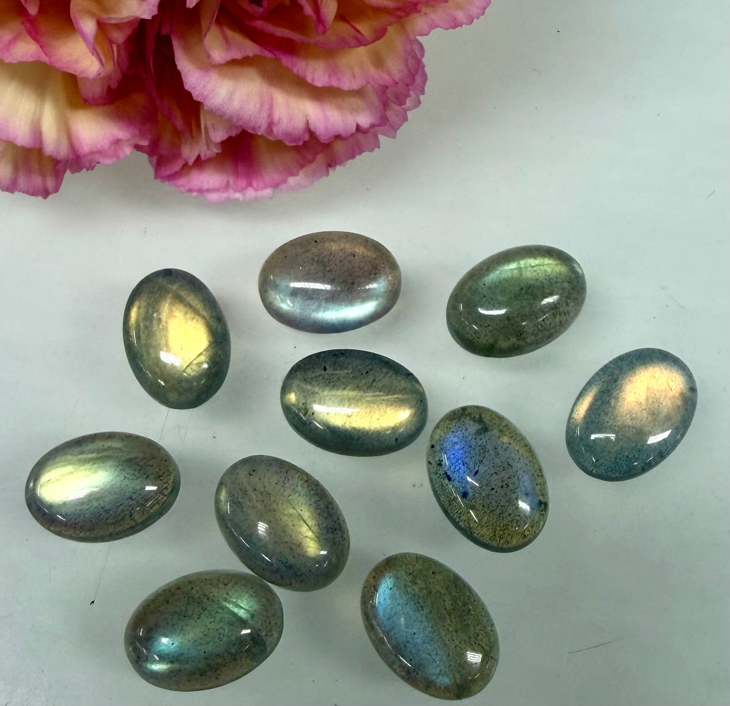 Wholesale Lot 10 pcs Natural Labradorite Cabochon Crystal Healing Energy ~10x14mm