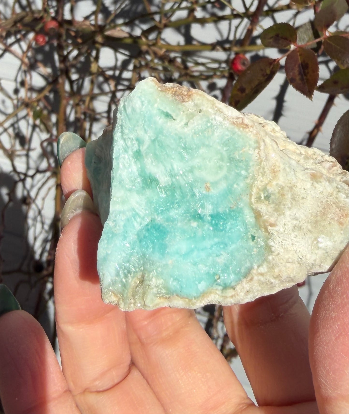 2 lbs Natural Blue Aragonite Rough Crystals Healing Energy