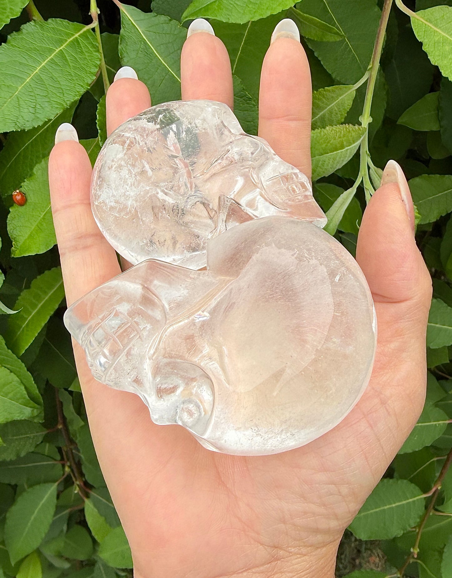 Wholesale lot 4-6 Pcs Clear Quartz Skull Bowl Natural Crystal healing energy