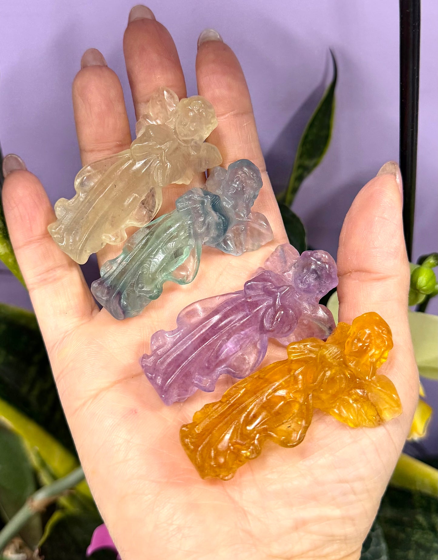 Wholesale Lot 6 PCs Natural Fluorite Angels Crystal Healing Energy
