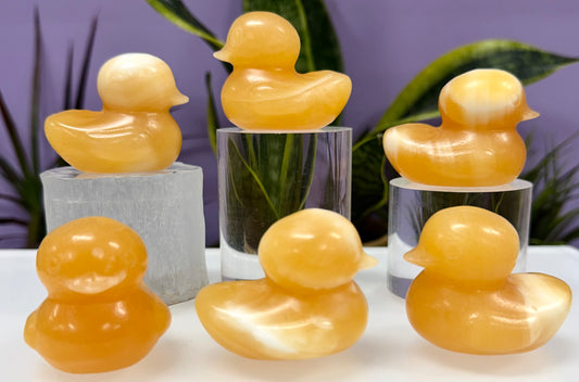 8 PCs 5cm Natural Orange Calcite Duck Crystal Healing Energy