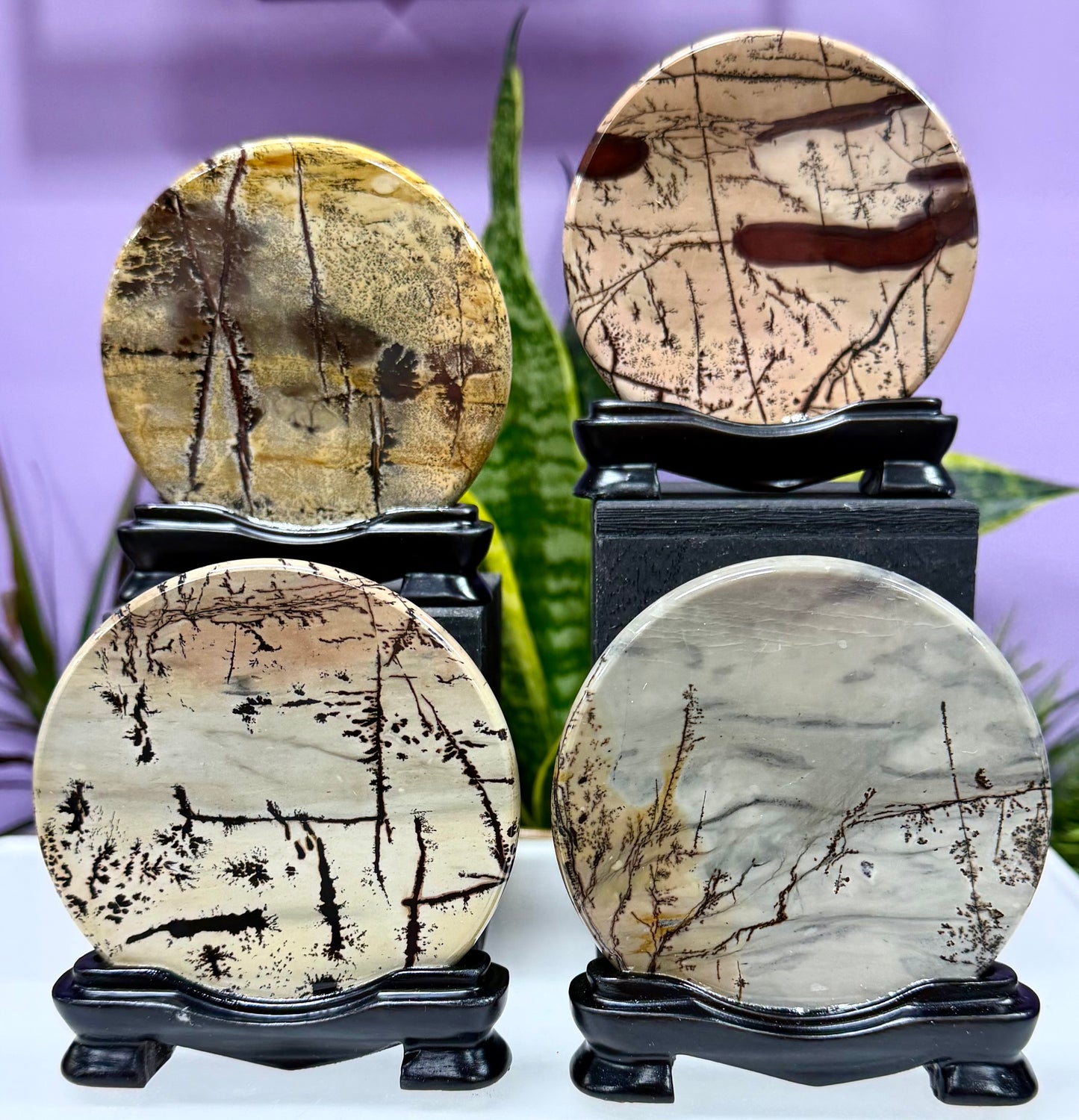 4PCs Natural Picture Jasper  polished Slabs with stand