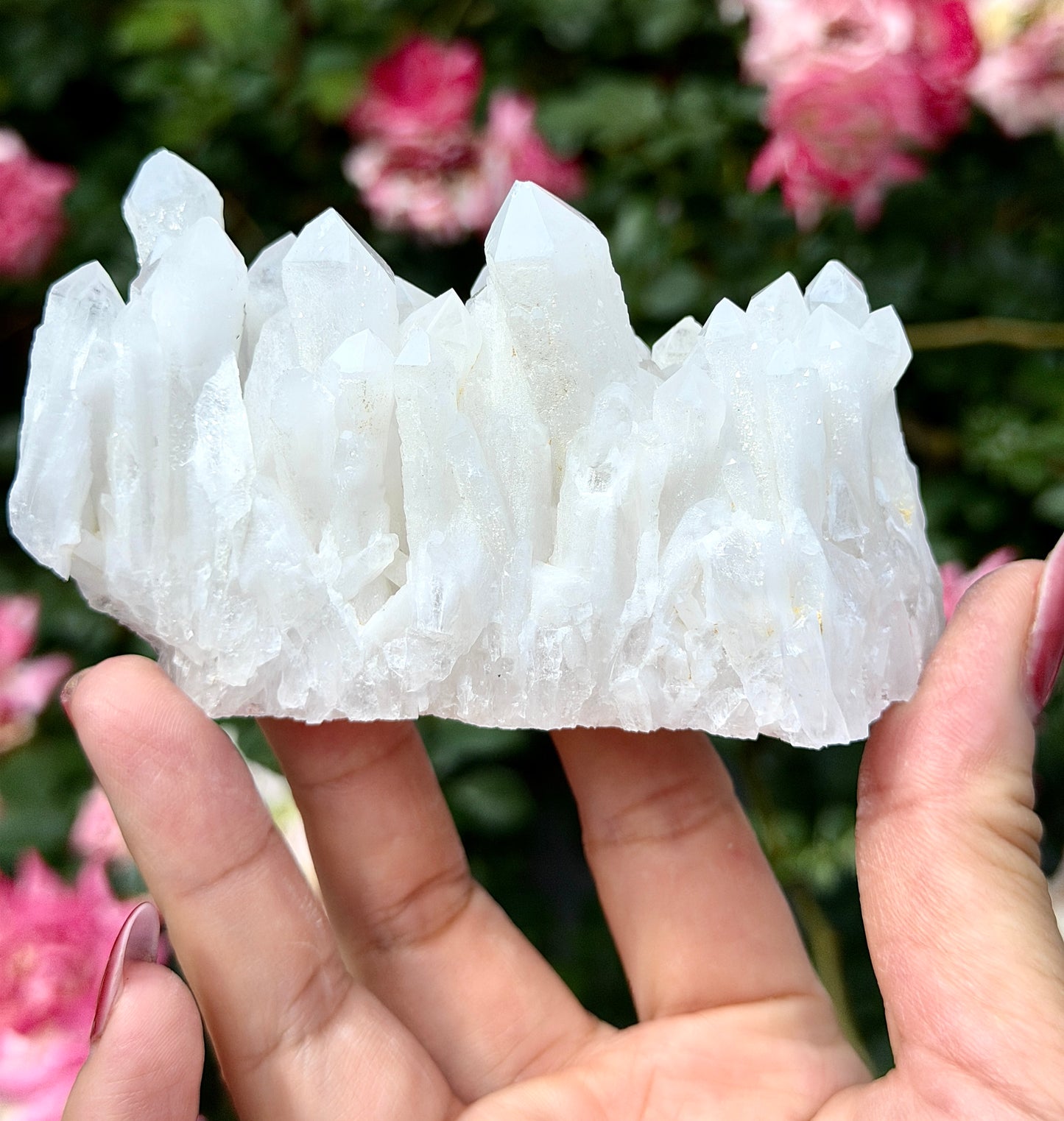 Wholesale Lot 4-6 pcs Natural Druzy Quartz Cluster Rough Crystal Healing Energy