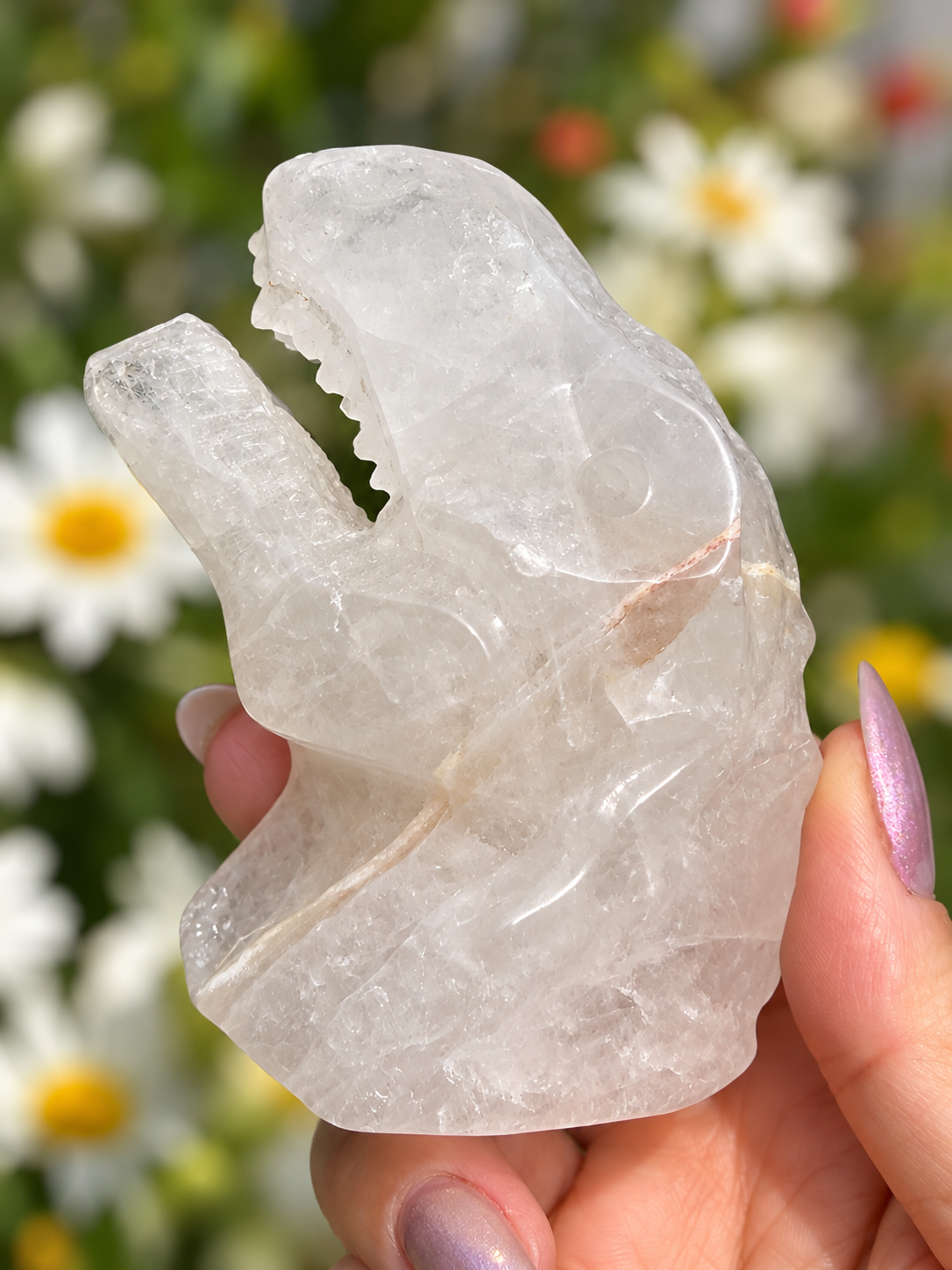 3 PCs Natural Clear Quartz Dinosaur Crystal Healing Energy