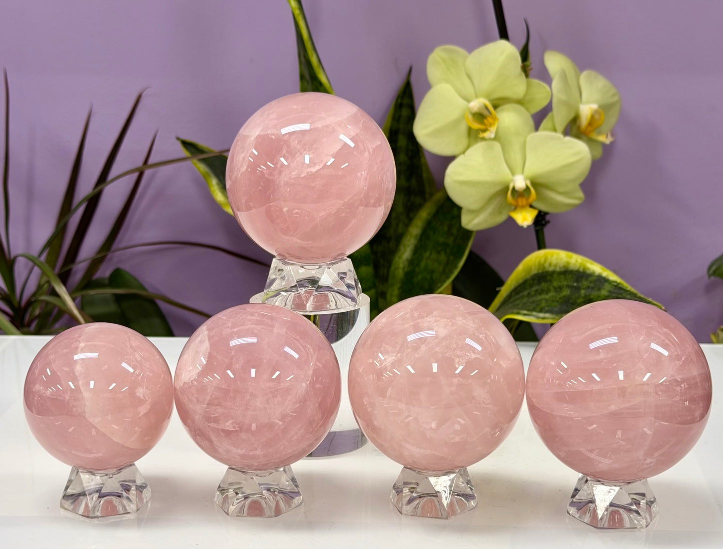 Wholesale Lot 5 PCs Natural Rose Quartz Spheres Crystal Ball very nice quality 3.9-4lbs