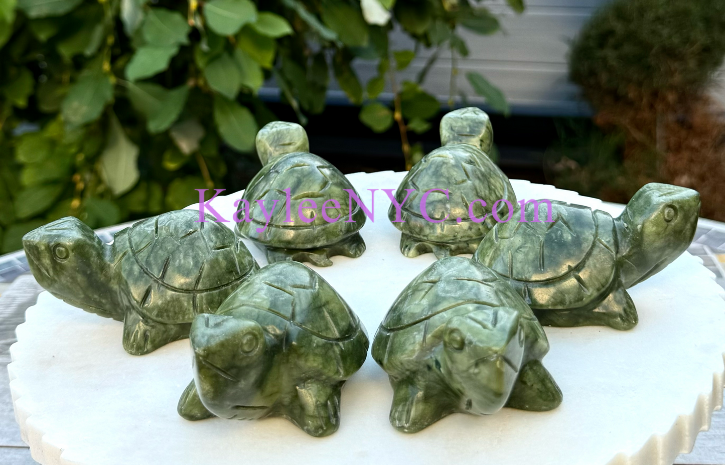 6 PCs Natural Nephrite Jade Turtle healing energy