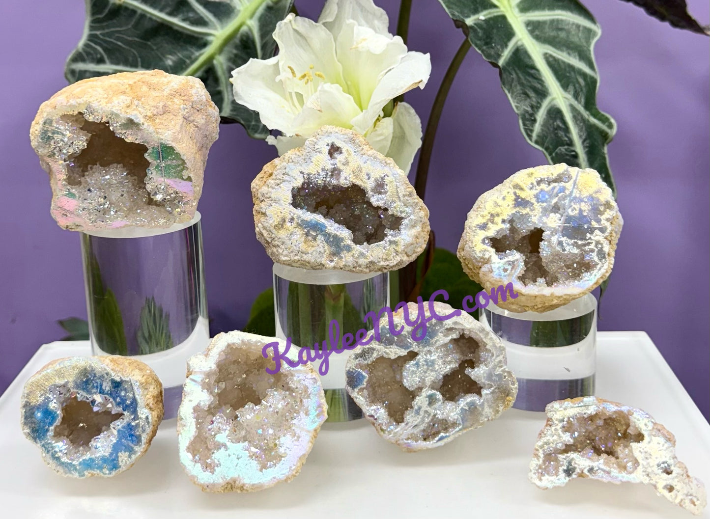 Wholesale Lot 2 Lbs Angel Aura White Druzy Quartz Geode Crystal Healing Energy