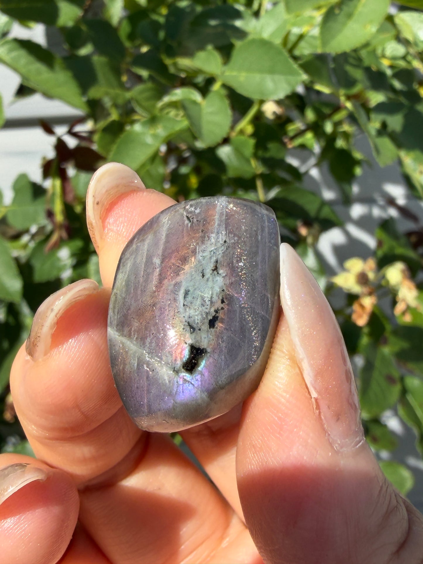 Wholesale Lot 12 pcs Natural Sunset Labradorite Cabochon Crystal Healing Energy