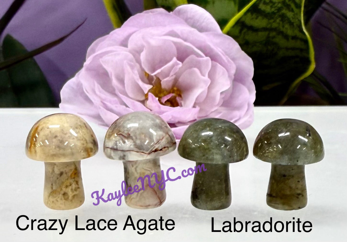 Wholesale Lot 50 PCs Natural Mixed 20mm Crystal Mushroom Healing Energy