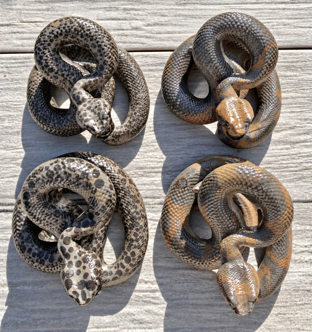Wholesale Lot 4 Pcs Natural Money Stone and Leopard Stone Snakes Healing Energy