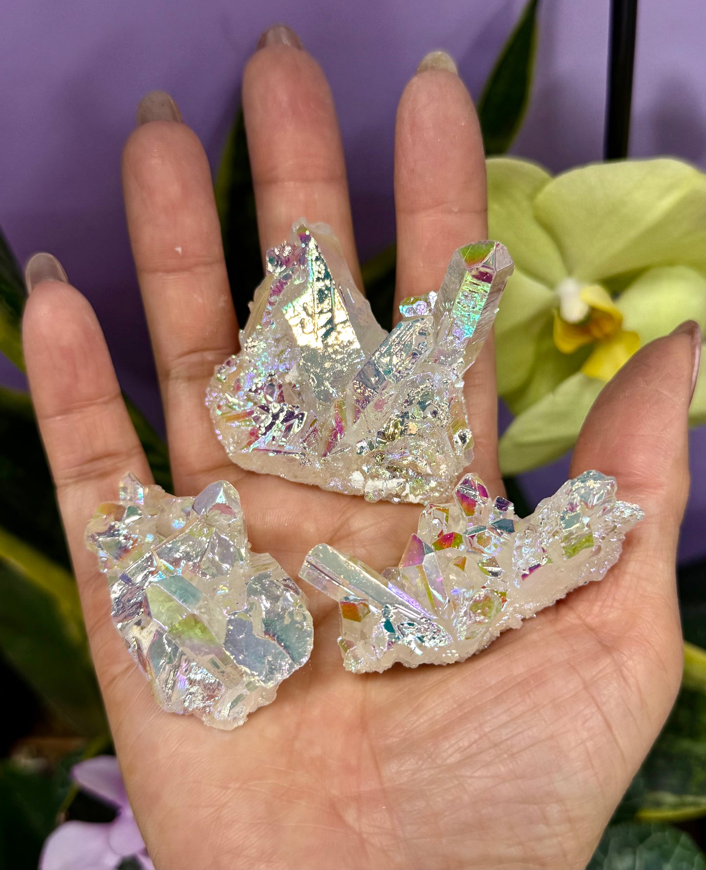 Wholesale 2 lbs Angel Aura Quartz Cluster Natural Crystal