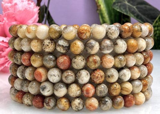 Wholesale 6 Pcs Natural Crazy Lace Agate 6mm 7.5” Crystal Healing Stretch Bracelet