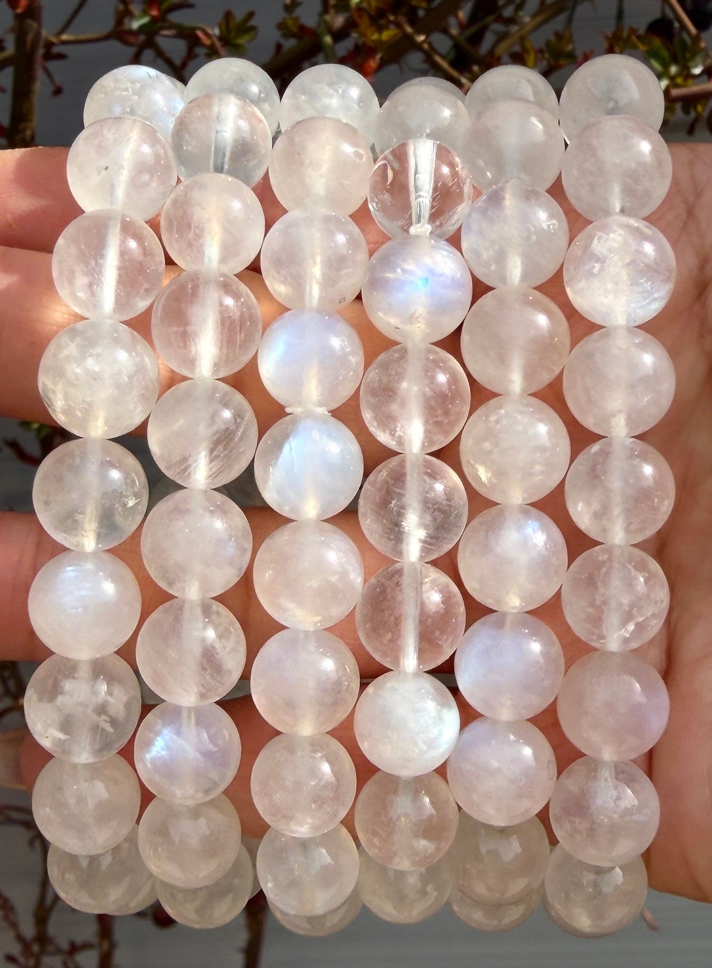 Wholesale Lot 6 Pcs Natural Moonstone 10mm 8” Natural Stretch Bracelet