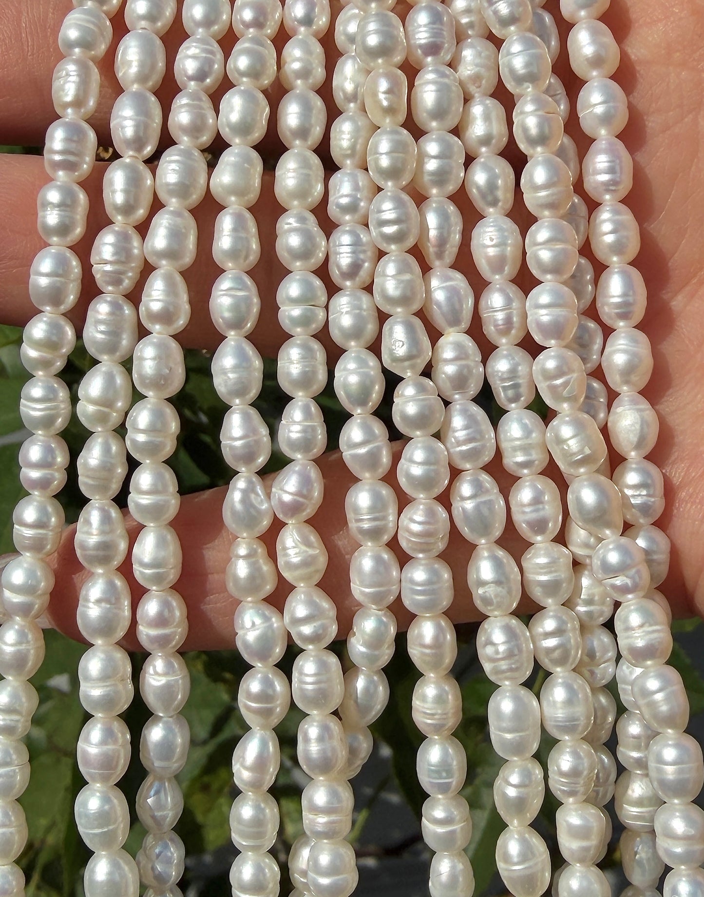 6 PCs 6 pcs ~4.5 Natural Freshwater Pearl Necklace Healing Energy