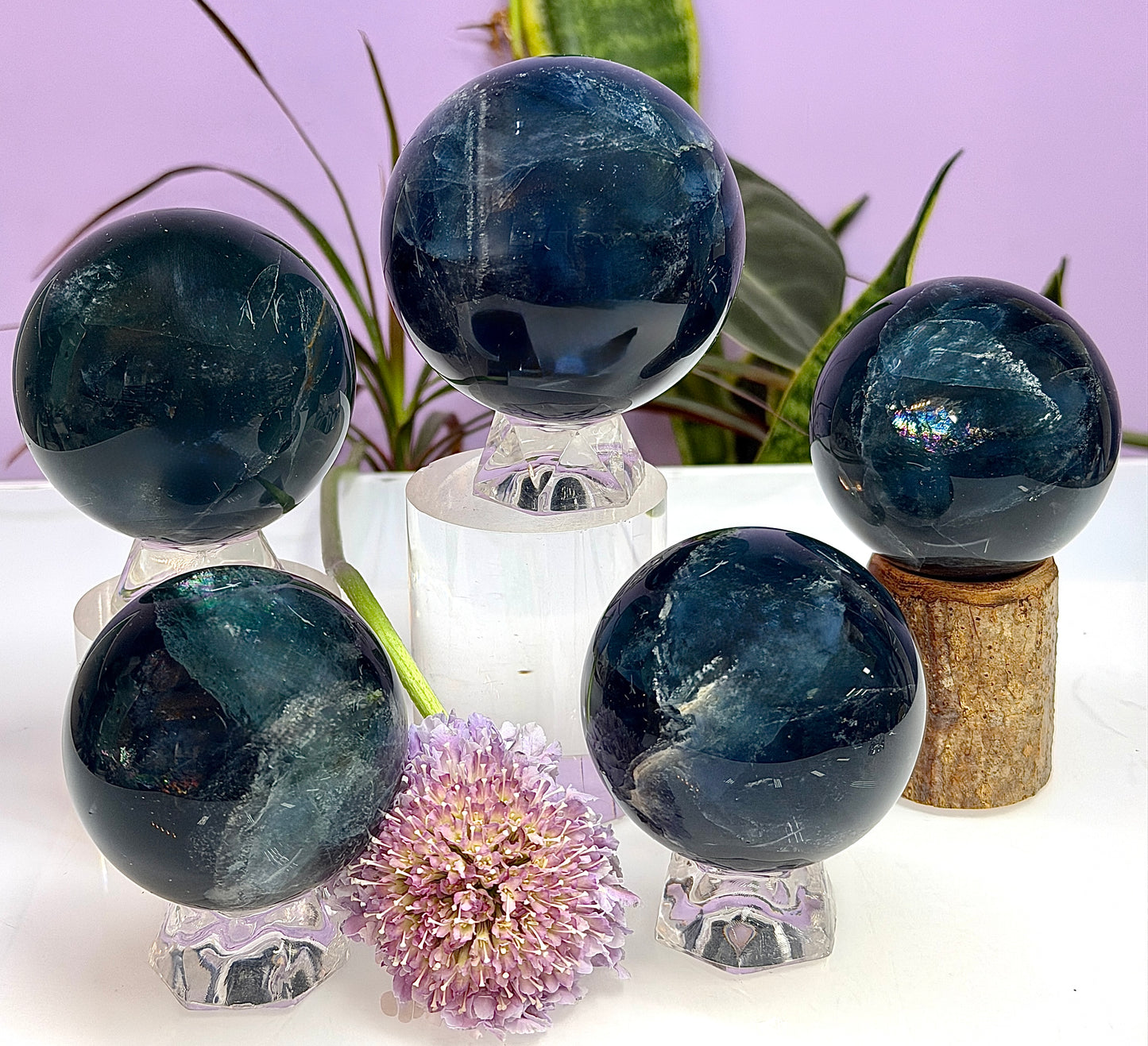 Wholesale Lot 4 to 5 Pcs Natural Blue Fluorite Sphere Crystal Ball 4.8 to 5 lbs  Healing Energy