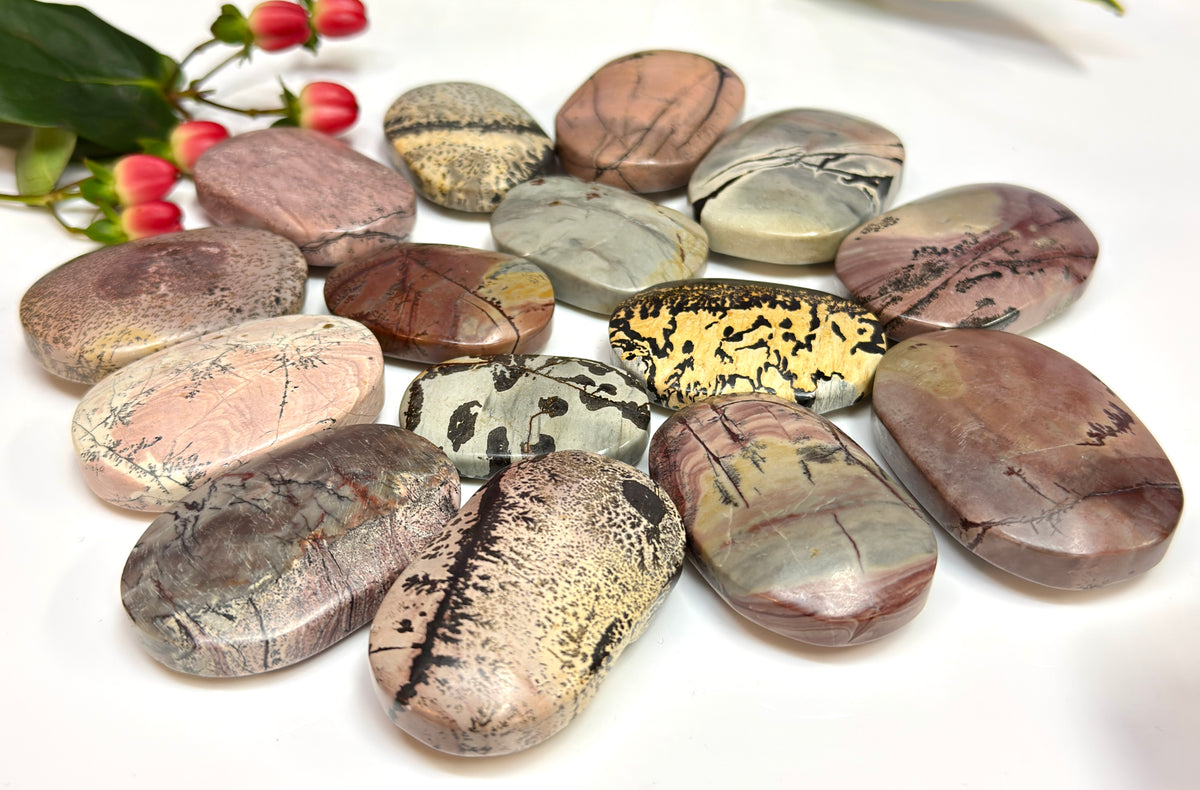 Wholesale 2 Lb Lot Natural Picture Jasper Palm Stones Crystal Natural Energy