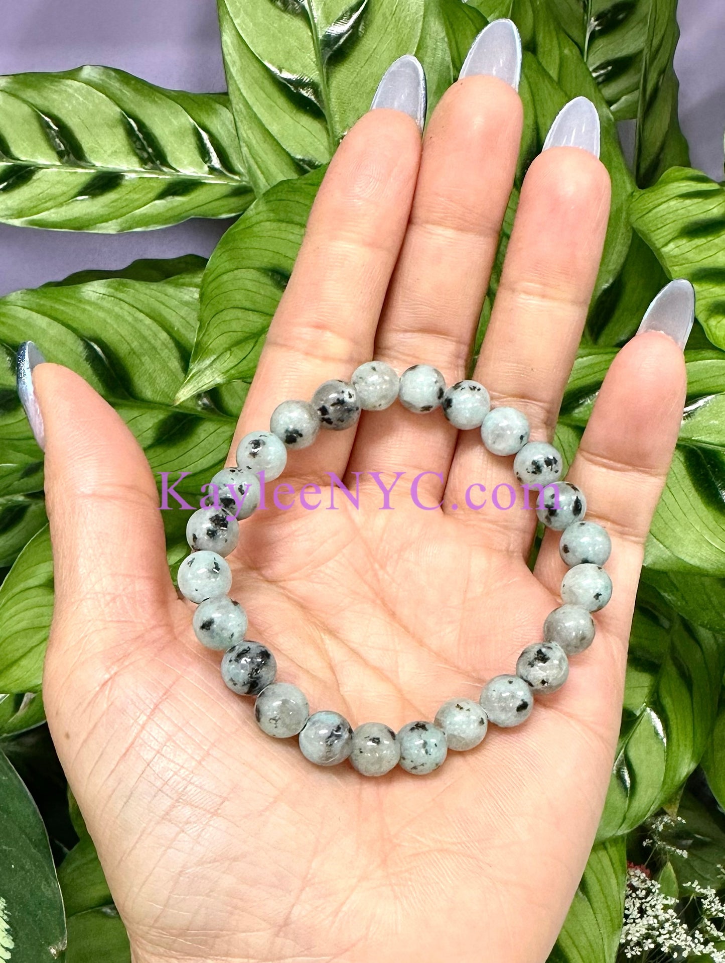 Wholesale 6 Pcs Natural Kiwi Jasper 8mm 7.5” Crystal Healing Stretch Bracelet