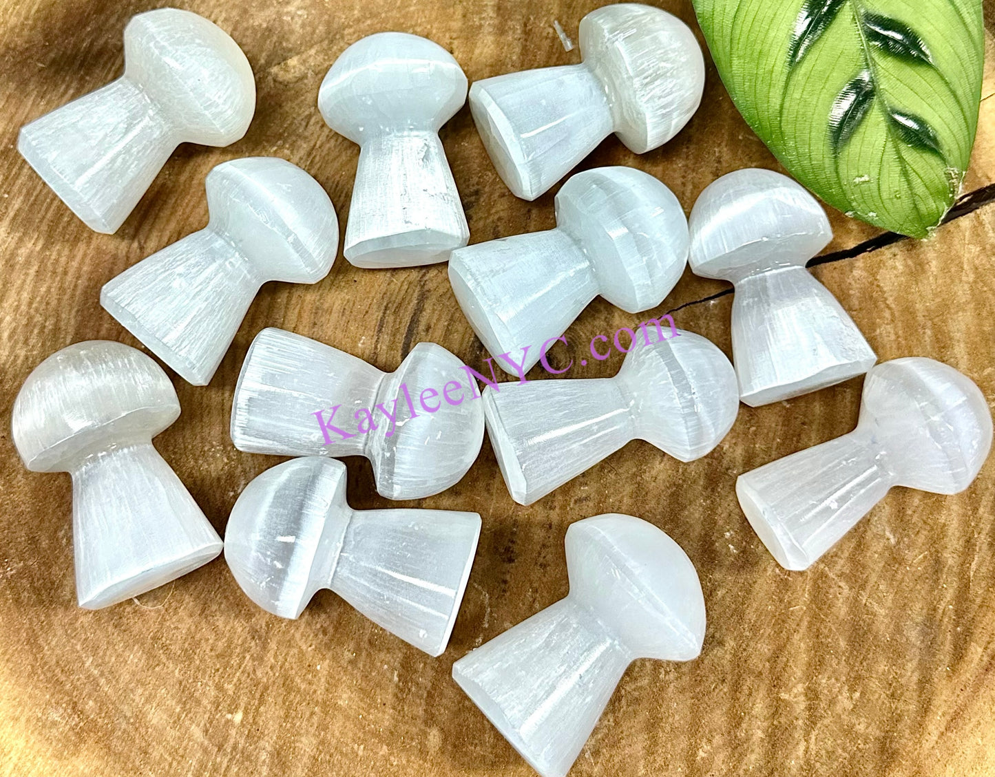 Wholesale Lot 12 pcs Natural Selenite aka Satin Spar Mushroom ~6cm