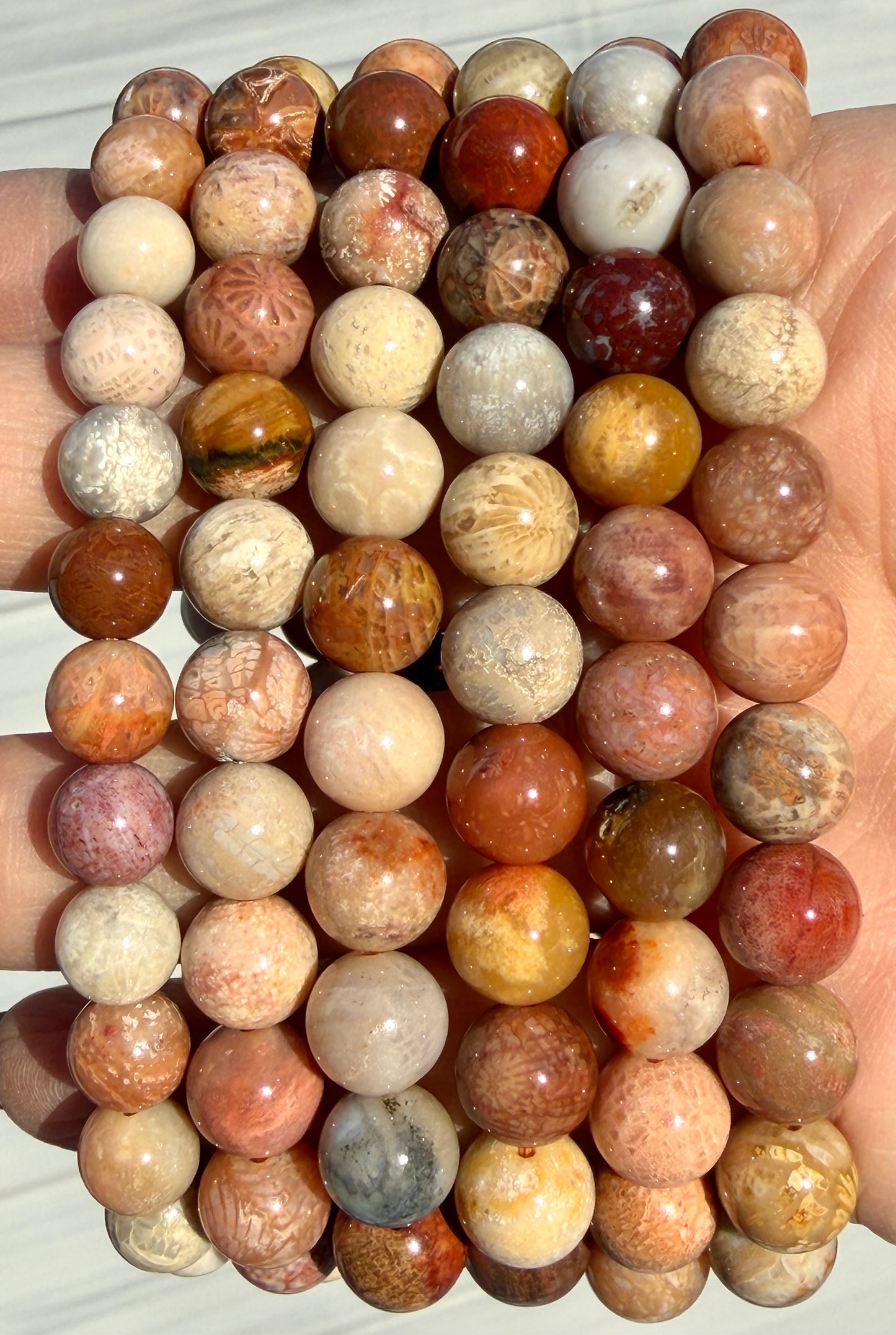 Wholesale 6 Pcs Natural Fossil Coral 8mm 7.5” Crystal Healing Stretch Bracelet