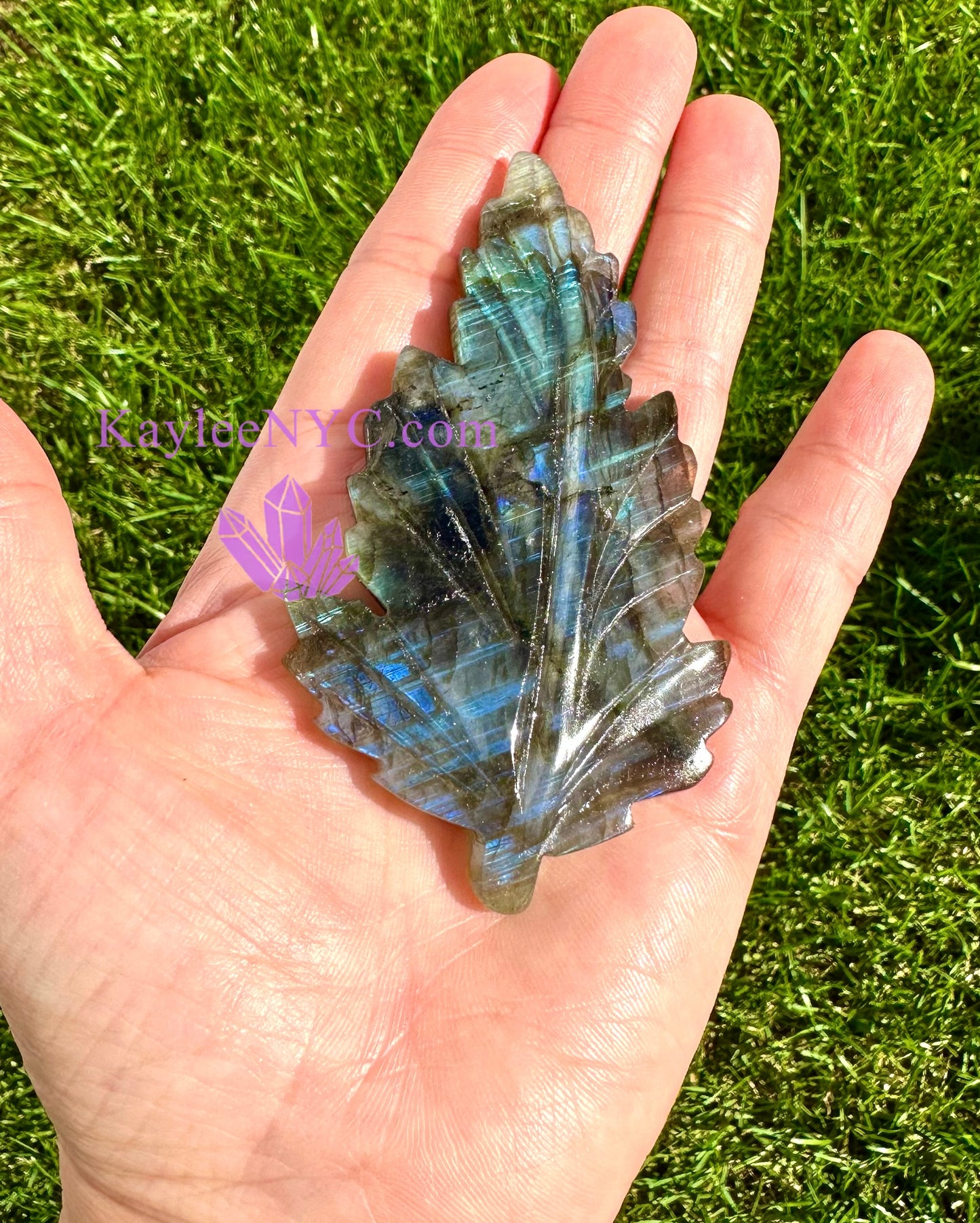 Wholesale Lot 6 PCs Natural Labradorite Leaf Healing Energy