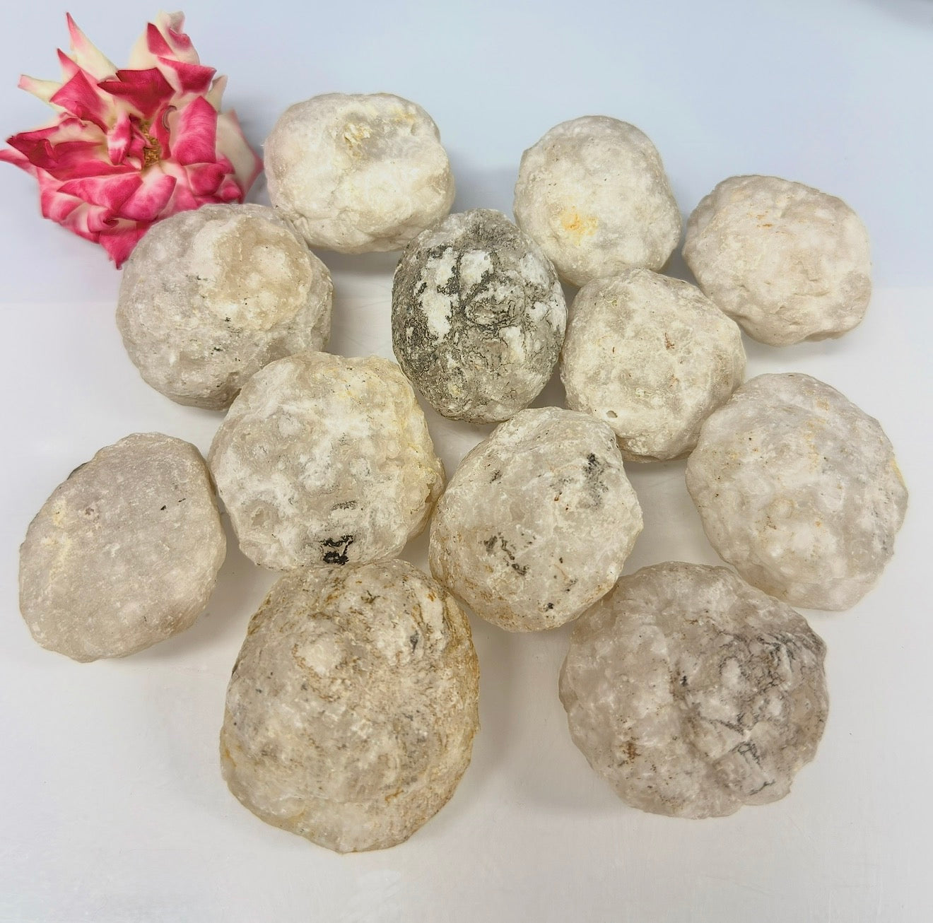 Wholesale Lot – 2 lbs Natural Quartz Geodes – 12 to 16 PCS