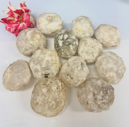 Wholesale Lot – 2 lbs Natural Unbroken Quartz Geode – 12 to 16 PCS