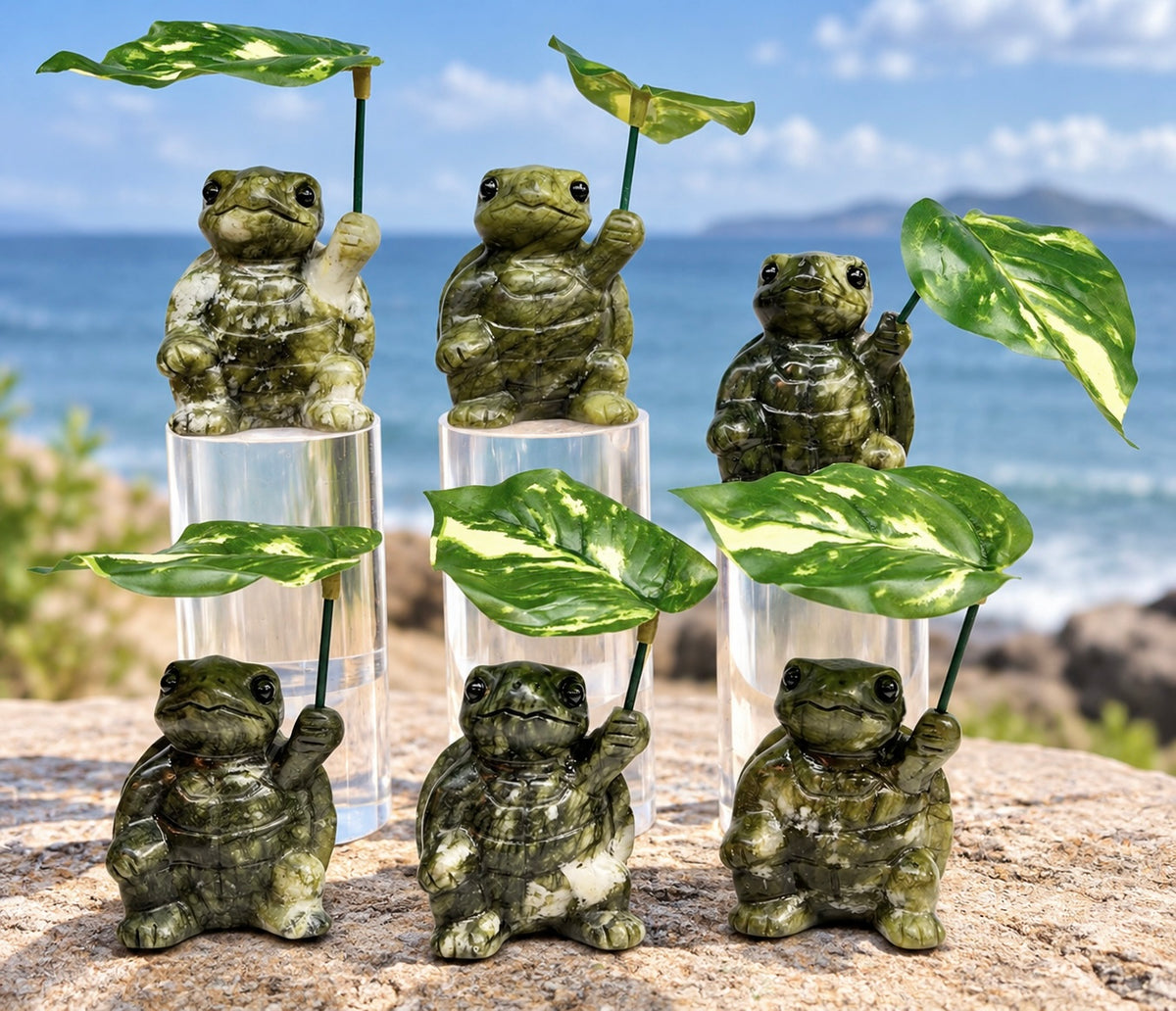 6 PCs Natural Nephrite Jade Turtle with Leaf healing energy