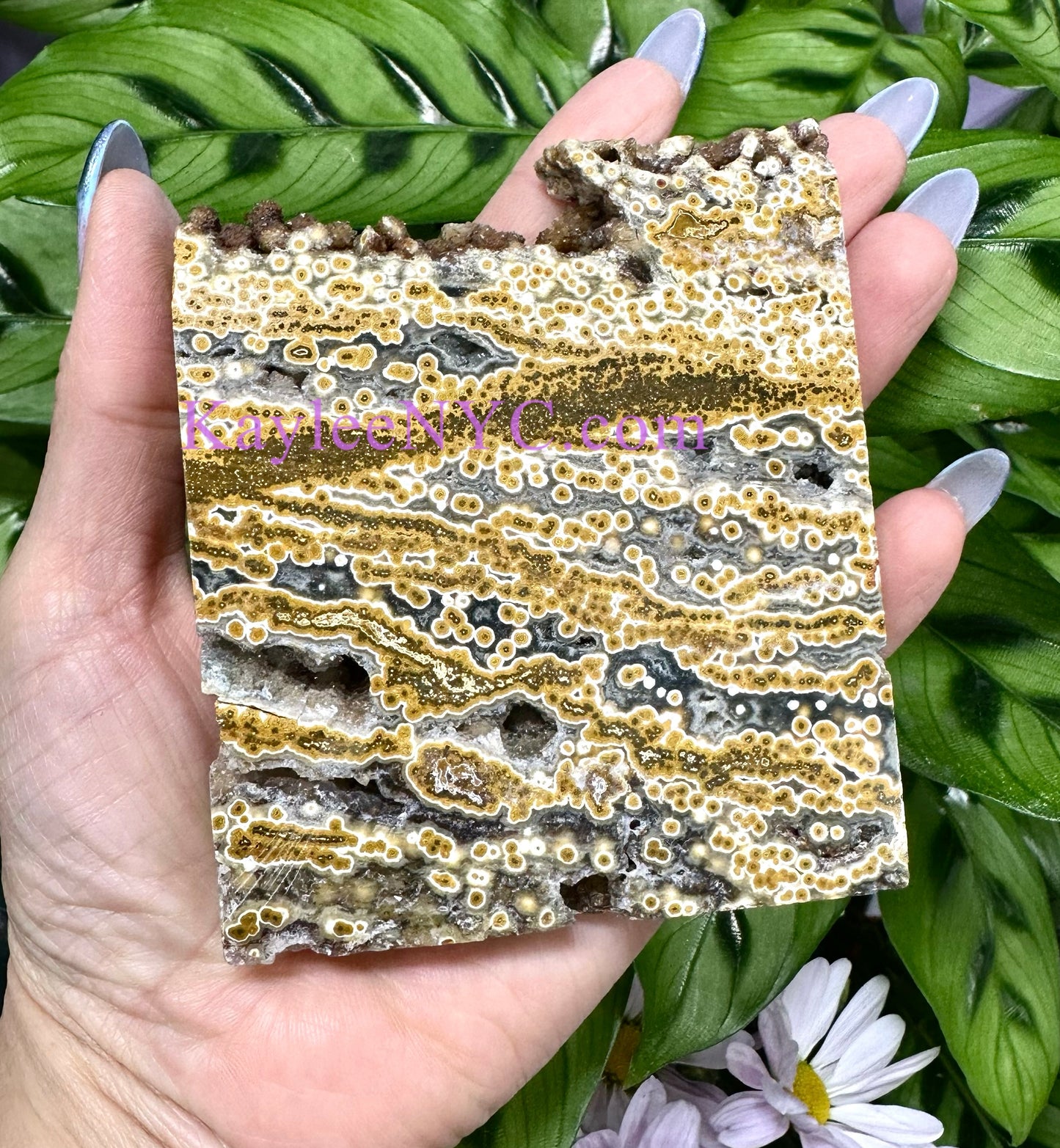 2 lbs Natural Ocean Jasper Slab