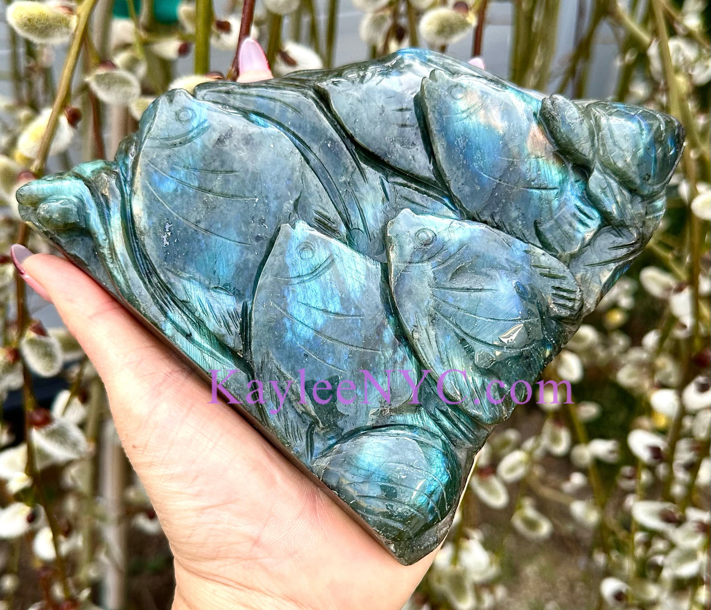 2 PCs Natural Labradorite Sea carvings healing energy