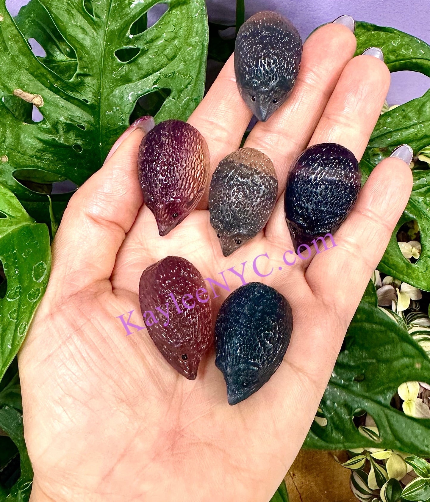 6 PCs 1.3” Natural Fluorite Hedgehogs Carving