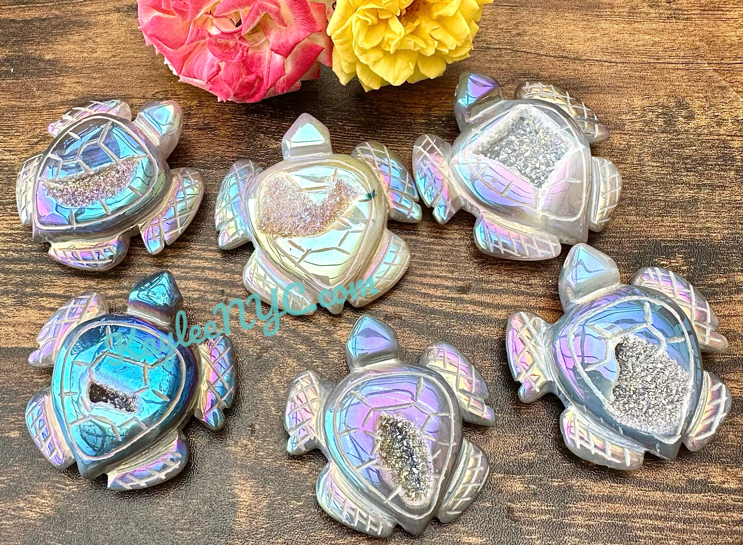 6 PCs Aura Druzy Agate Turtle Healing Energy