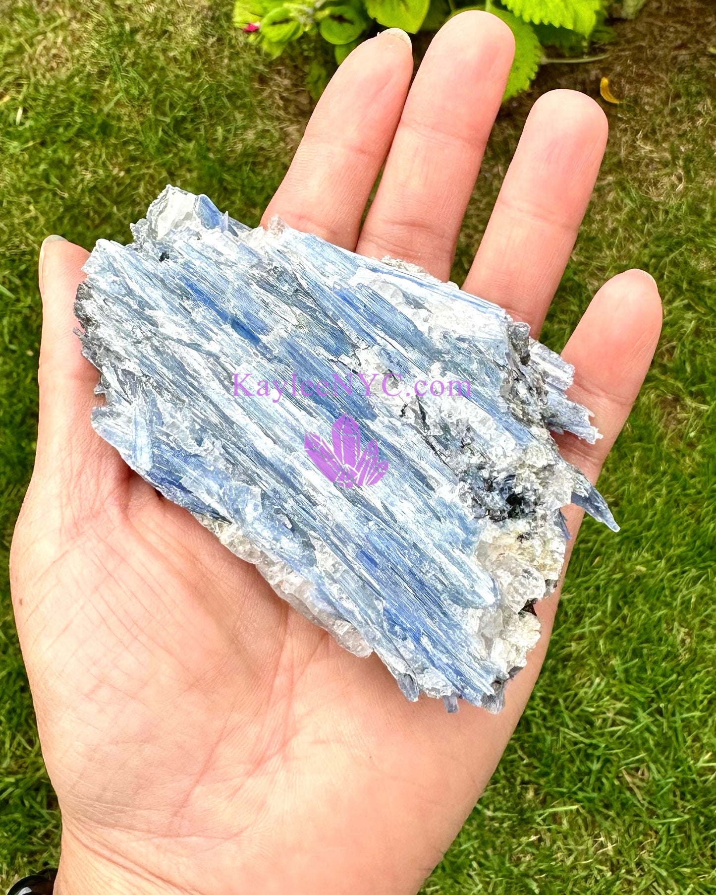 Wholesale Lot 2 lb Natural Blue Kyanite Crystal Raw Nice Quality