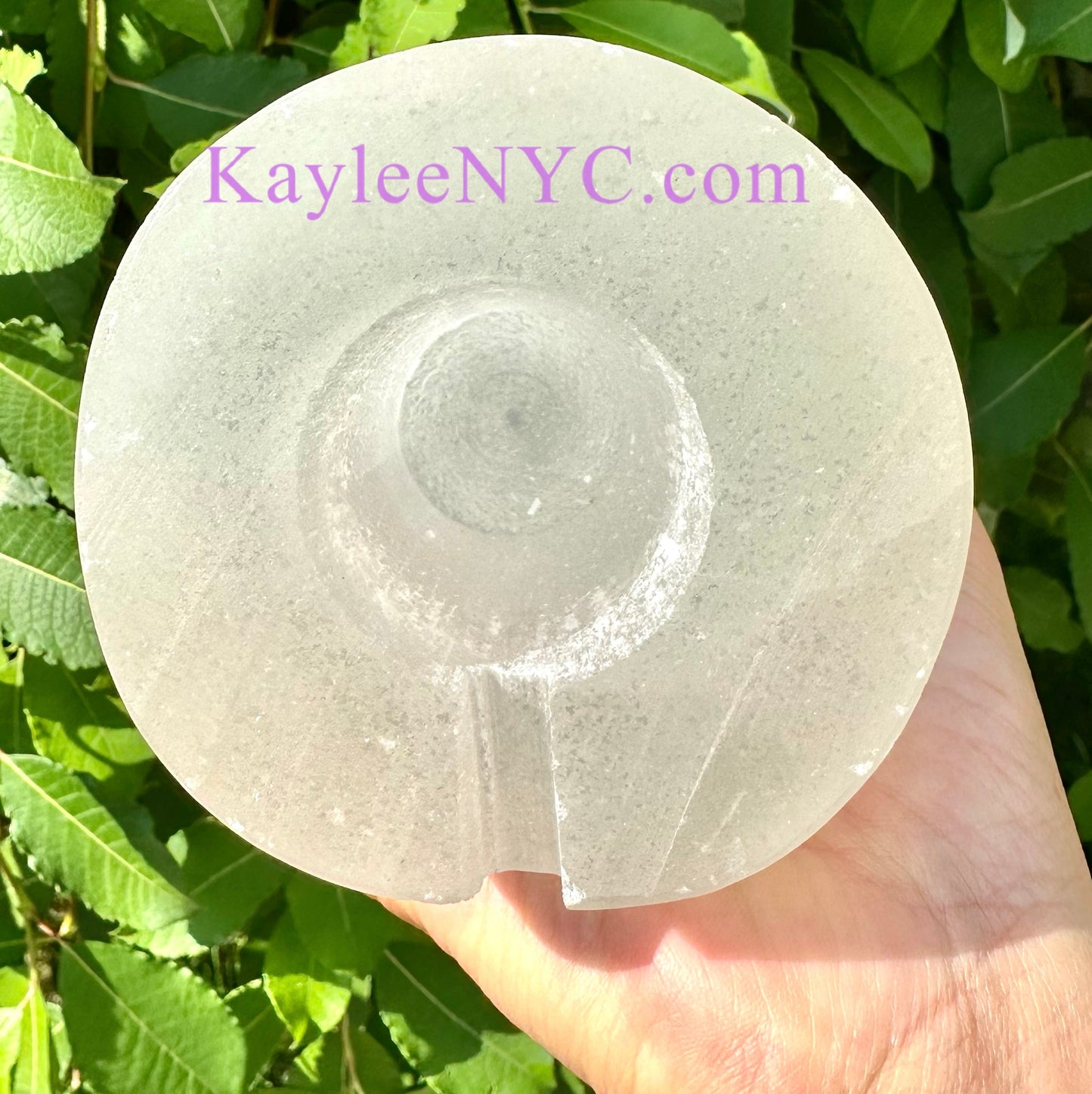 2 Natural Selenite aka Satin Spar Tree of Life Lamp