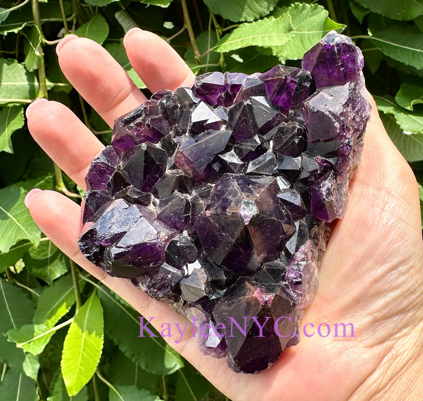 4-5 pcs Natural Alien Amethyst Mineral Specimen aka Hematite Included Amethyst