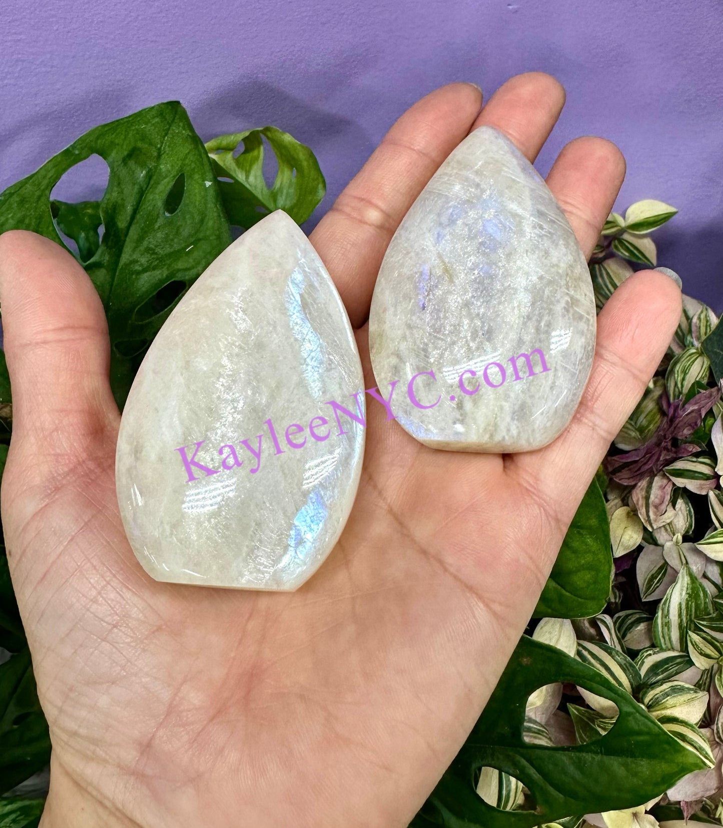 7 PCs Natural Moonstone Freeform