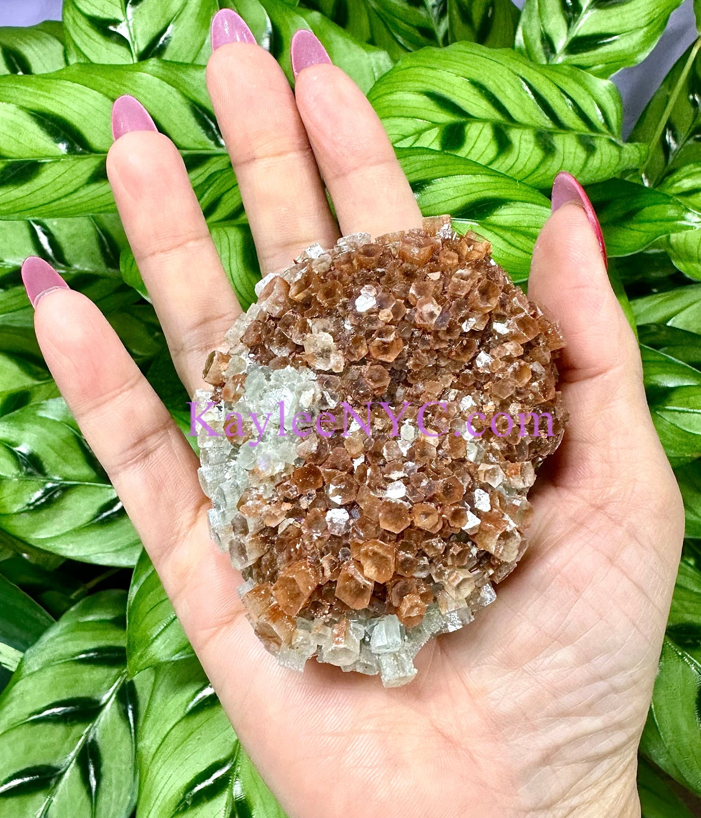 Wholesale Lot 2 lb Natural Aragonite Cluster Raw Crystal