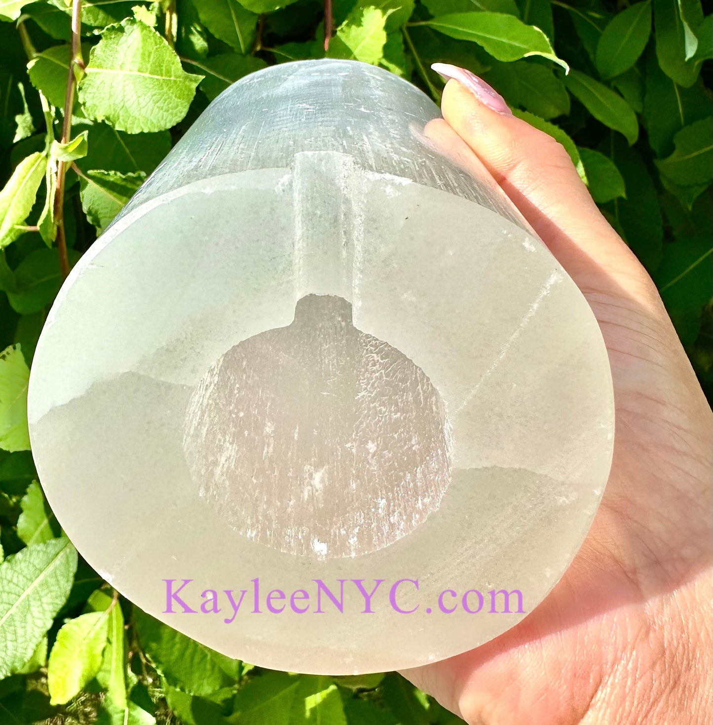 2 Natural Selenite aka Satin Spar Tree of Life Lamp