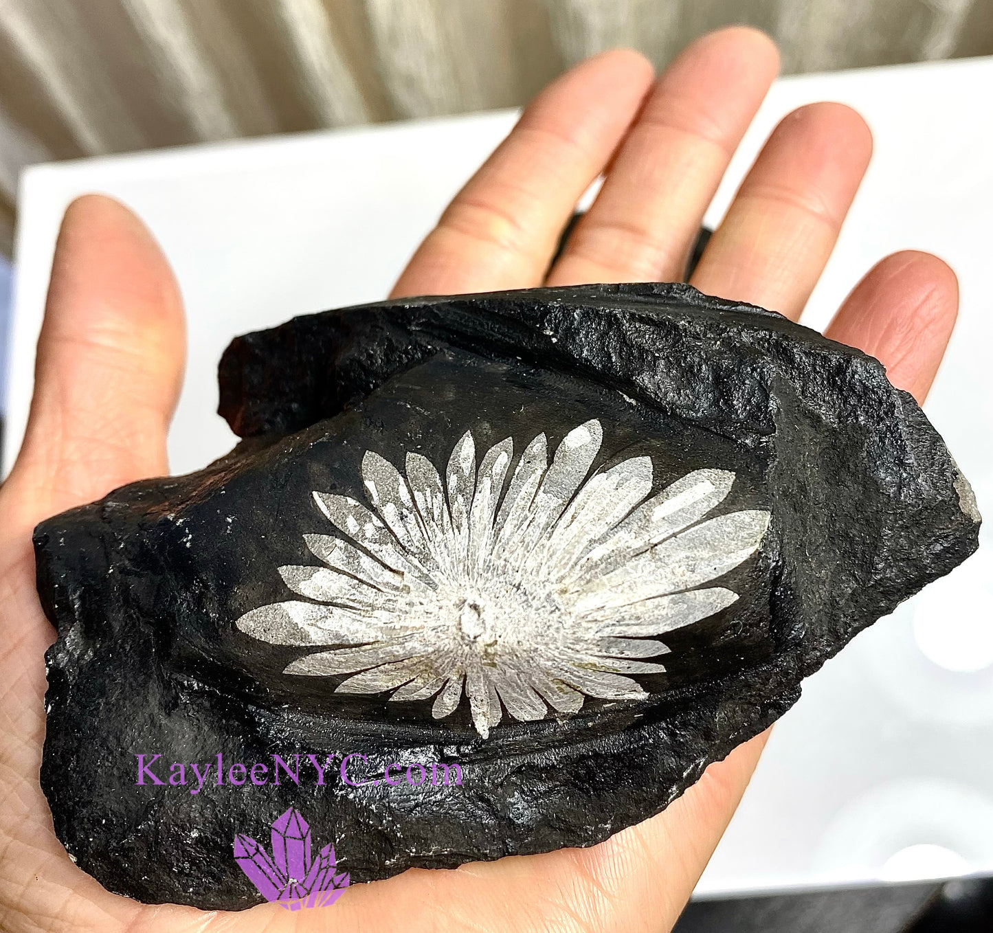 Wholesale Lot 3 PCs Natural Chrysanthemum Crystal