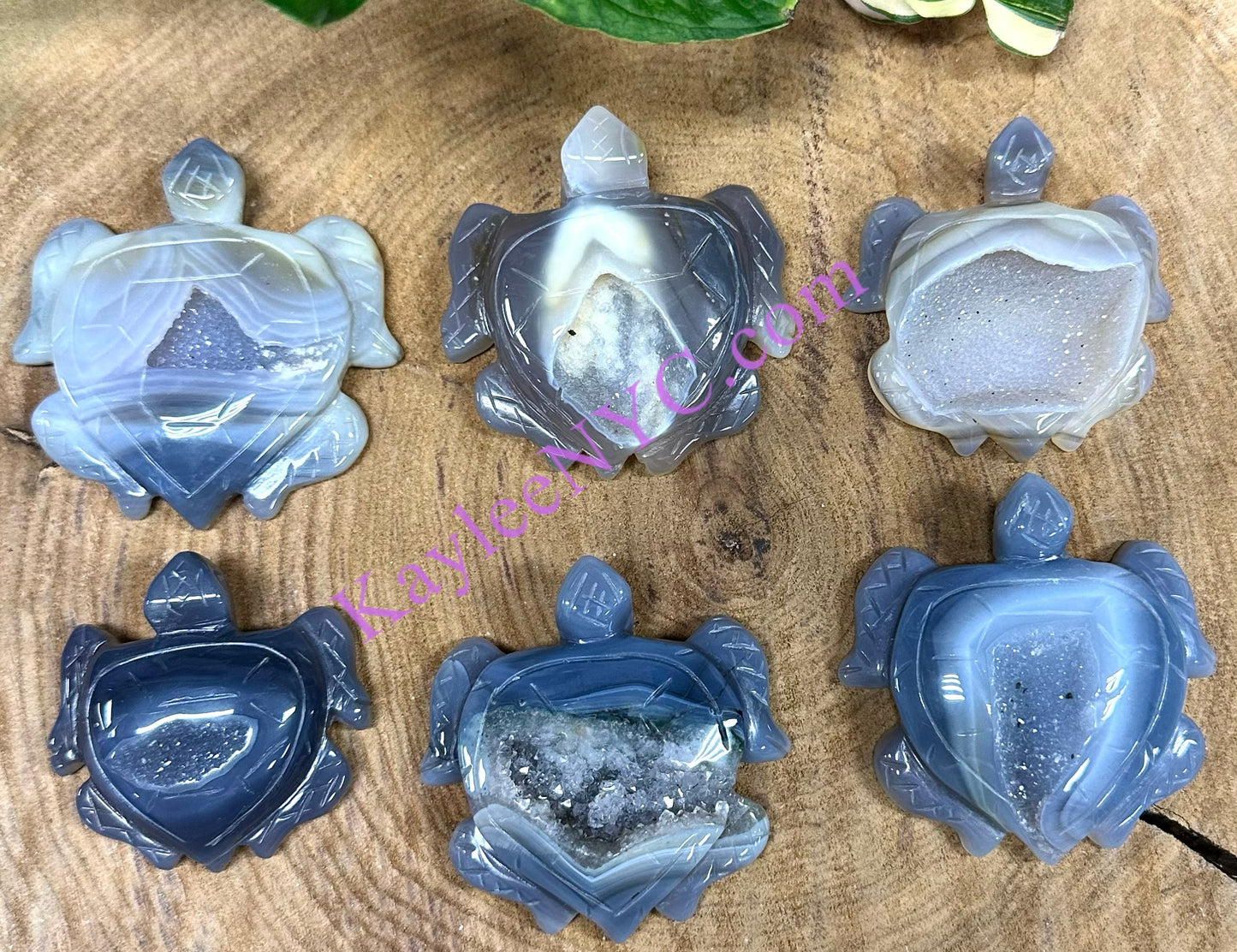 6 PCs Natural Druzy Agate Turtle