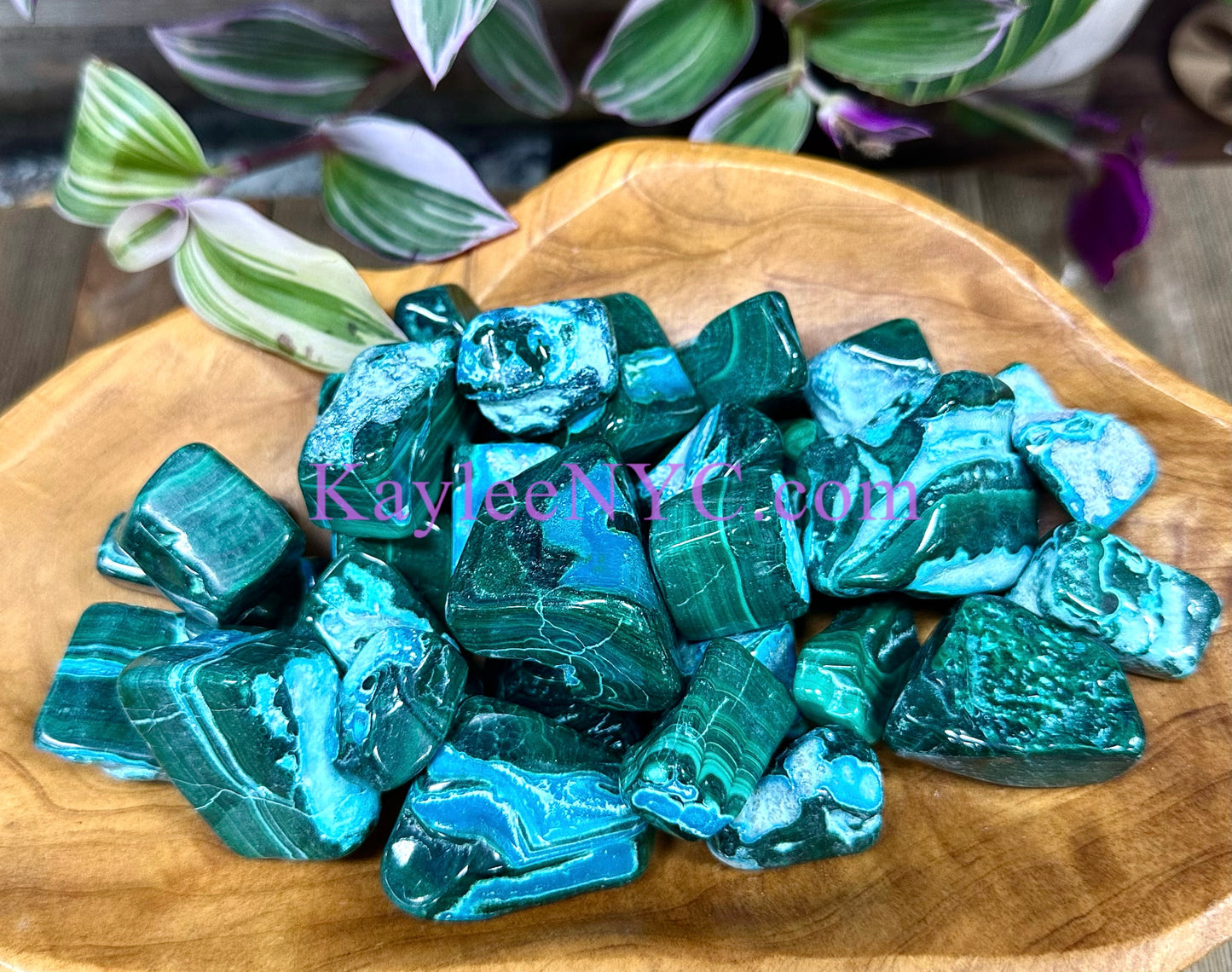 2 lbs Natural Chrysocolla Malachite Tumble Crystals healing energy