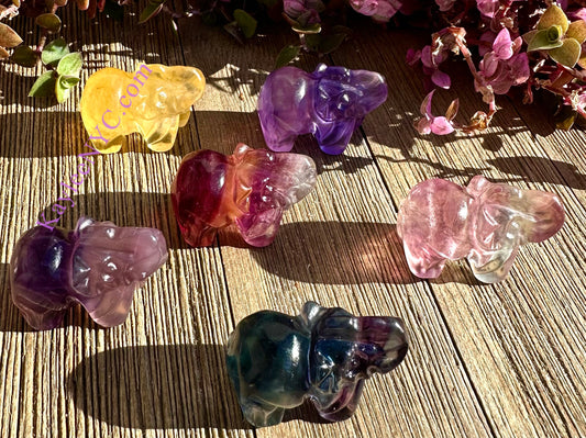 6 PCs 4cm Natural Candy Fluorite Elephantd Crystal