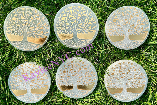 Wholesale Lot 6 pcs Natural Selenite aka Satin Spar Tree of Life Round Charging Plate Crystal