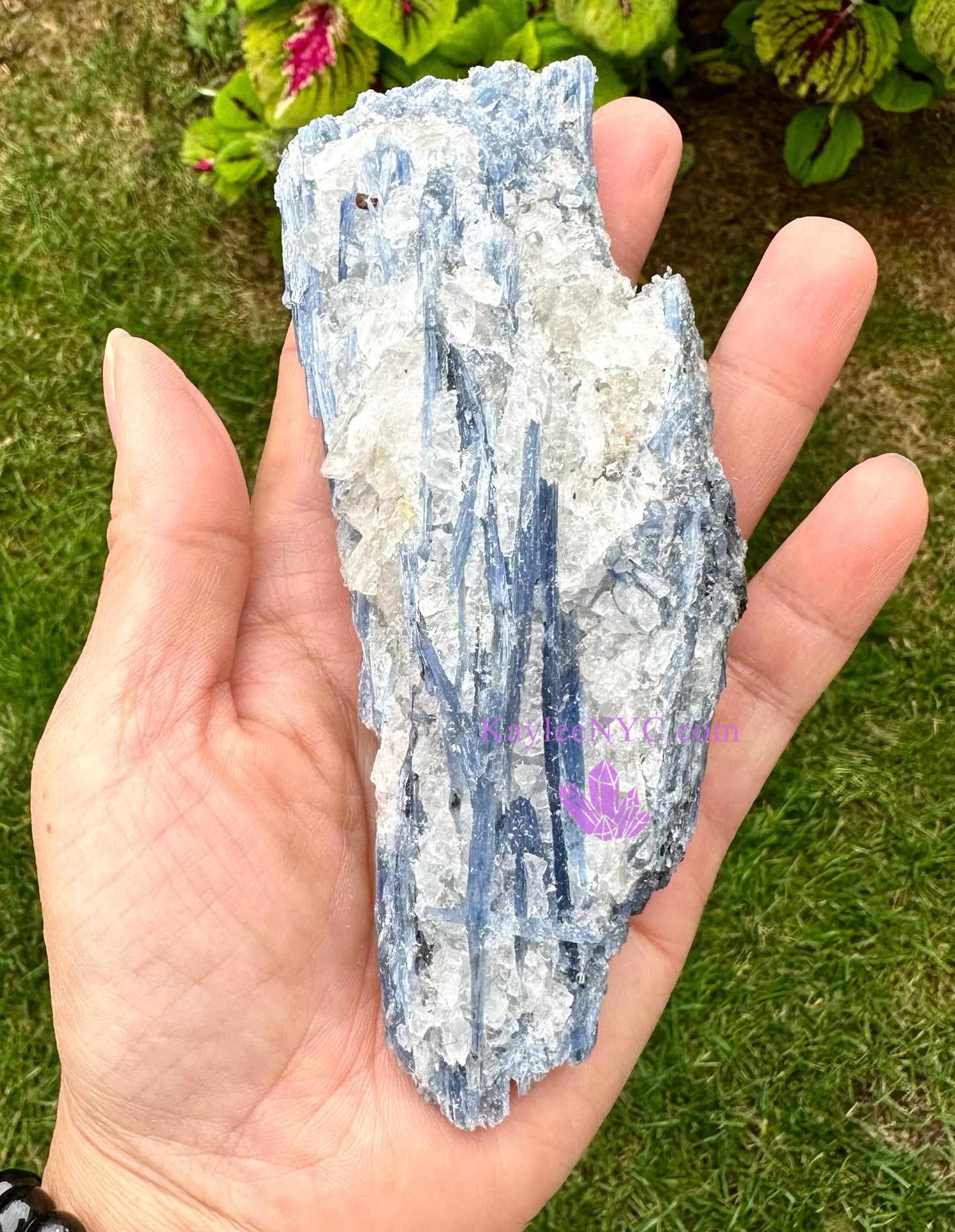 Wholesale Lot 2 lb Natural Blue Kyanite Crystal Raw Nice Quality